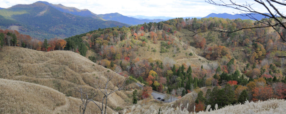 エコレ製造の高山石材店 WEBページ